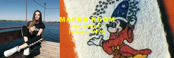 дмт Алзамай