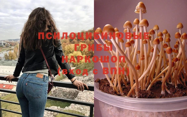 мяу мяу мука Алексеевка