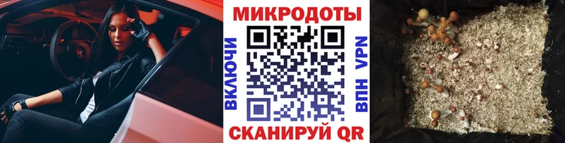 Псилоцибиновые грибы Psilocybine cubensis сколько стоит Салехард