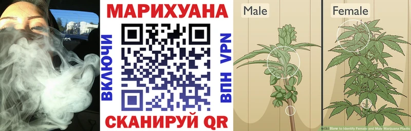 Каннабис планчик  магазин    Салехард 